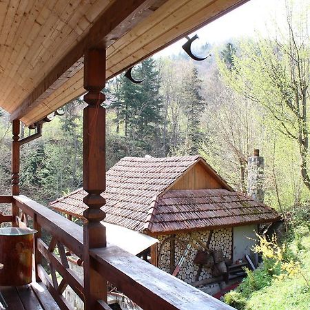 Vatra Hotel Γιαρέμτσε Εξωτερικό φωτογραφία
