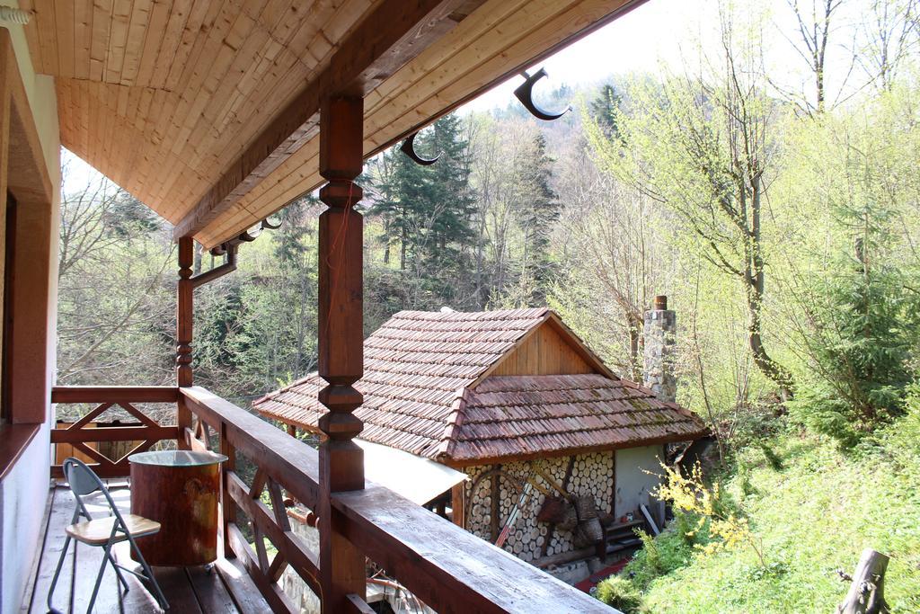 Vatra Hotel Γιαρέμτσε Εξωτερικό φωτογραφία