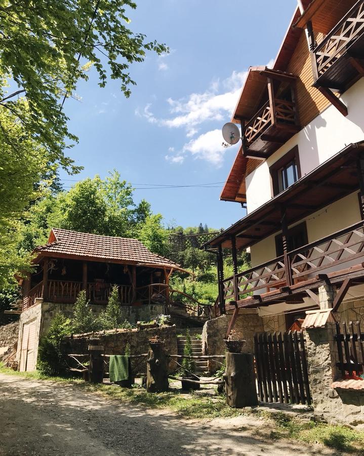 Vatra Hotel Γιαρέμτσε Εξωτερικό φωτογραφία